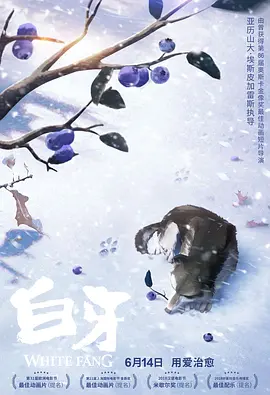 成人观看视频