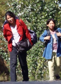 一区二区三区免费在线