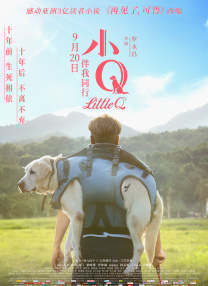 小西郊的树林