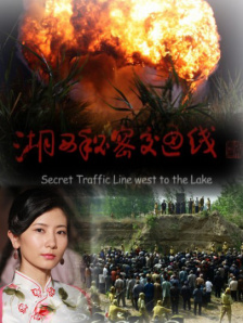 国产精品二区三区免费播放心
